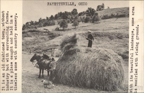 Bringin in the Hay Fayetteville Ohio