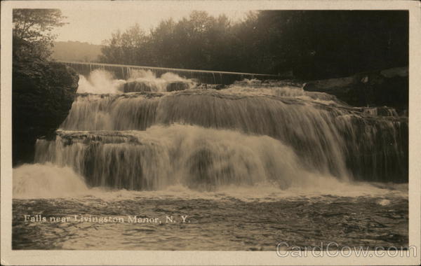 Falls Near Livingston Manor New York