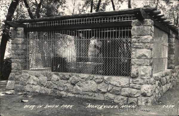 Bear in Smith Park Montevideo Minnesota