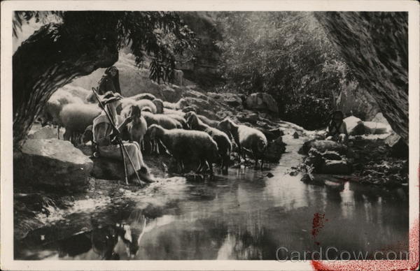 Ain Fara Spring Jerusalem Jordan Middle East