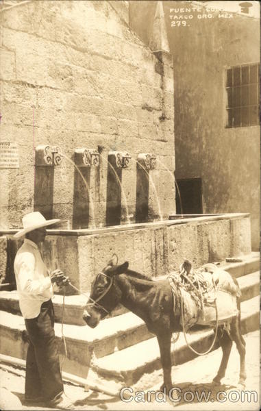 Burrow and Man at Watering Fountain Taxco Mexico