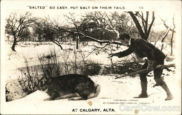 Salted So easy, put salt on their tails Calgary AB Canada