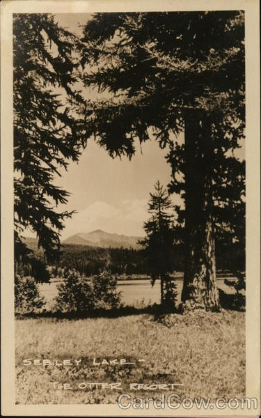 The Otter Resort Seeley Lake Montana