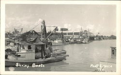 Shrimp Boats Postcard