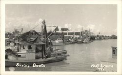 Shrimp Boats Postcard