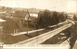 Part of North Spark Street Postcard
