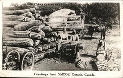 How Corny Can We Get? Postcard