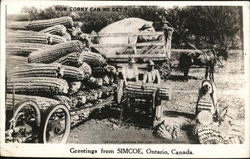 How Corny Can We Get? Simcoe, ON Canada Ontario Postcard Postcard Postcard