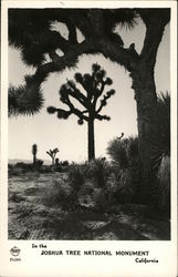 Stock #539248 Thumbnail