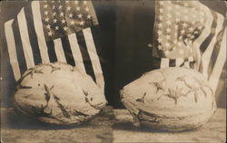 Squash with Leaf Scarring & US Flags Postcard