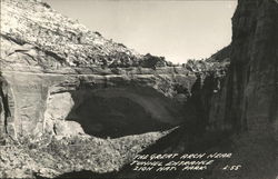 The Great Arch Near Tunnel Entrance Zion National Park, UT Postcard Postcard Postcard