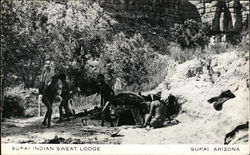 Supai Indian Sweat Lodge Arizona Postcard Postcard Postcard