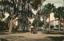 Cedar Avenue and Hotel Cedar Avenue and Hotel