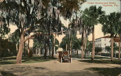 Cedar Avenue and Hotel Postcard