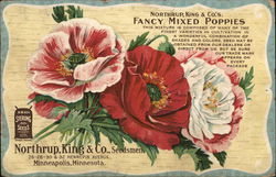 Northrup, King & Co.'s - Fancy Mixed Poppies Postcard