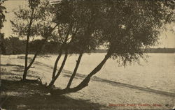 Reservoir Pond Canton, MA Postcard Postcard Postcard
