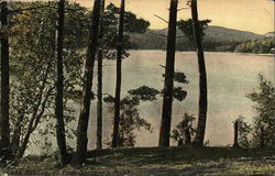 Lake Rescue From Sargent's Point Vermont Postcard Postcard Postcard