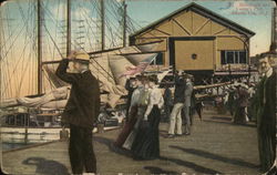 Boardwalk and Young's Pier Postcard