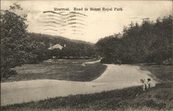 Road in Mount Royal Park Postcard