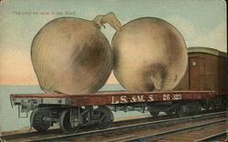Rail Car With Two Large Onions Postcard