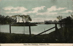 State Fish Hatchery Postcard