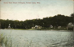 Some East Shore Cottages, Forest lake Postcard