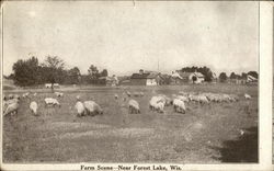 Farm Scene, Forest lake Auburn, WI Postcard Postcard Postcard