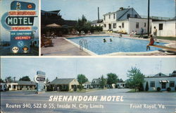 Shenandoah Motel Front Royal, VA Postcard Postcard Postcard