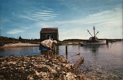 Gathering Shells By the Old Oyster House at Wellfleet on Cape Cod Massachusetts Postcard Postcard Postcard