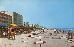 Looking North Up the Beach Postcard