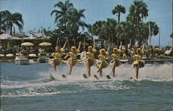 Sarasota Ski-A-Rees Florida Postcard Postcard Postcard