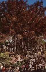 Swiss Family Treehouse Disney Postcard Postcard Postcard