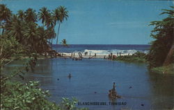 Mary Ann River Blanchiseusse, Trinidad & Tobago Caribbean Islands Postcard Postcard Postcard