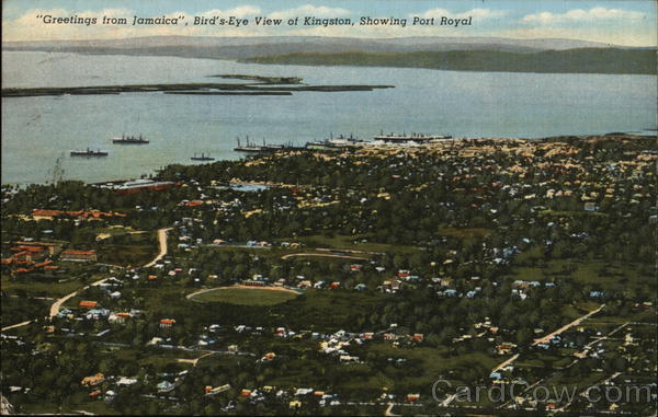 Bird's-Eye View of City, Showing Port Royal Kingston Jamaica