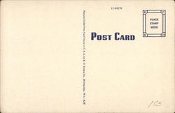back