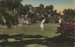 Putting Green, Kenilworth Lodge Sebring, FL Postcard Postcard Postcard