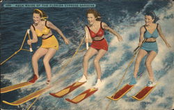 Aqua Maids of the Florida Cypress Gardens Postcard