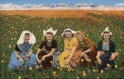 Tulip Time Postcard