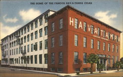 The Home of the Famous Hav-A-Tampa Cigar Postcard