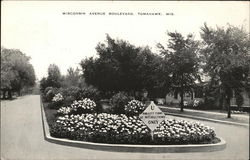 Wisconsin Avenue Boulevard, Tomahawk, Wis. Postcard