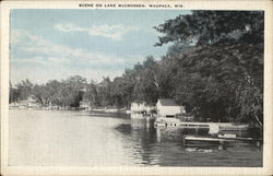 Scene on Lake McCrossen Postcard