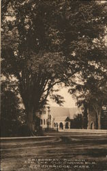 Episcopal Church and the Old Corner Elm Postcard