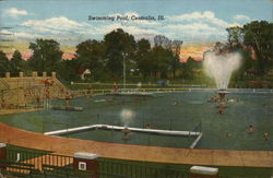 View of Swimming Pool Postcard