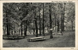 Big Creek Park Canton, IL Postcard Postcard Postcard