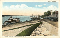 Cairo Levee and Water Front Postcard