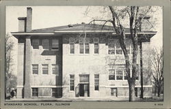 Standard School Flora, IL Postcard Postcard Postcard