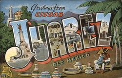 Greetings from Cuidad Juarez Mexico Postcard Postcard Postcard