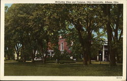 Ohio University - McGuffey Elms and Campus Postcard