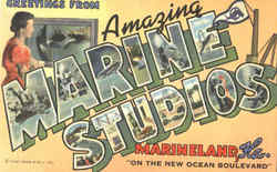 Greetings From Amazing Marine Studios Marineland, FL Postcard Postcard