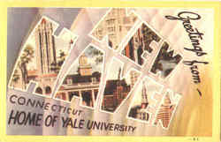 Greetings From New Haven Postcard